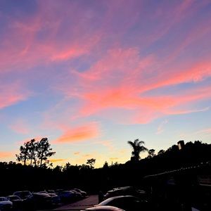 Meet your Posher, anya